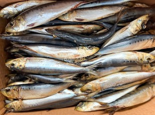 Сыр Чечил паутинка (аджика)  500 гр.: Сельдь Иваси х\к